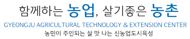 별채반 슬로건