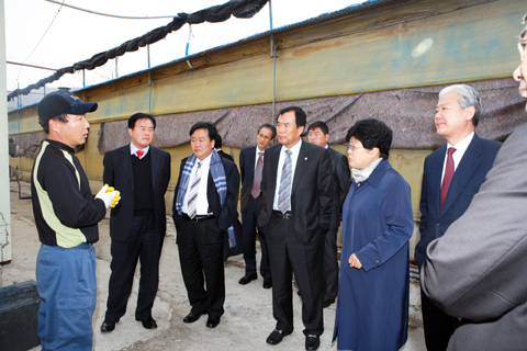 문화시민위원회현장점검