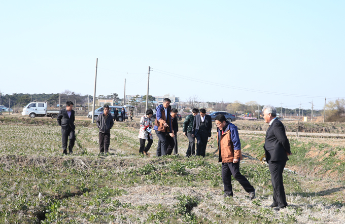 유채경관지구 현장방문(전북 부안군)