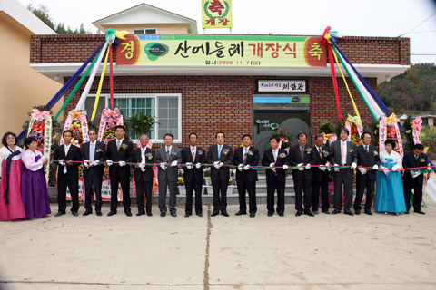 산에들레개장식