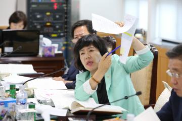 2015년도 행정사무감사