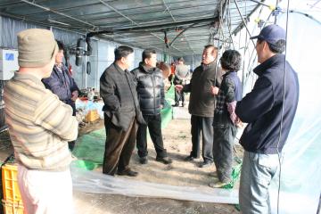 태풍 강풍지역 및 작목반 방문