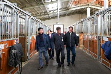 상주시 국제 승마장 견학