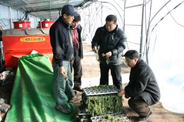 태풍 강풍지역 및 작목반 방문