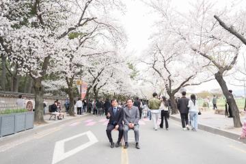 2025 경주대릉원돌담길 축제