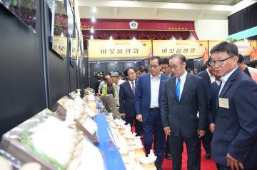 제13회 경주버섯축제 퍼포먼스