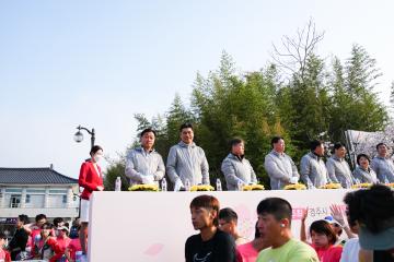 제30회 경주벚꽃마라톤 대회