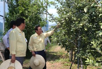 고온 피해 과수 농가 방문