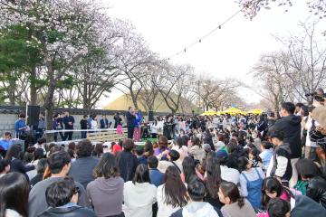 벚꽃축제 현장방문