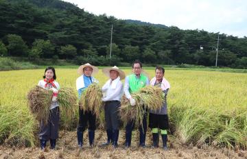 첫벼베기 현장 체험