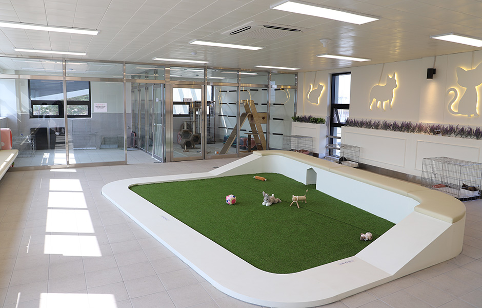 어린 반려견과 반려묘의 보호 공간