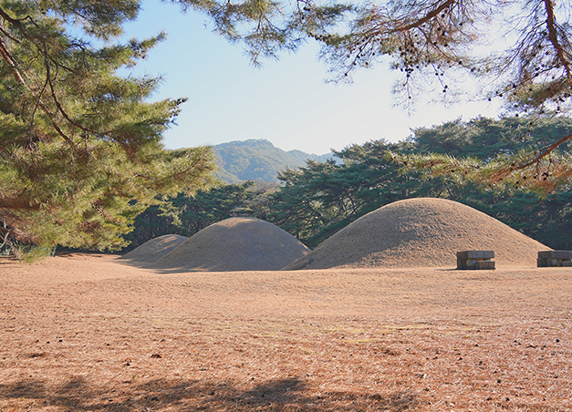 삼릉숲과 배동 삼릉