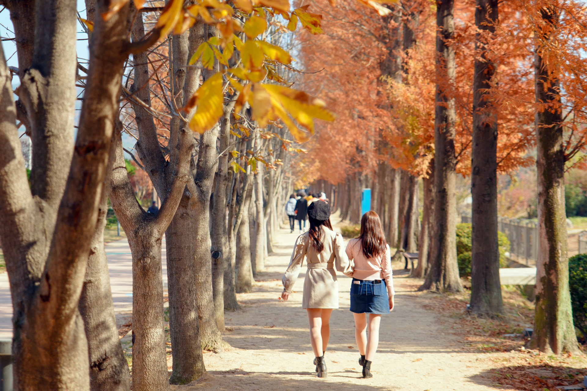 경북천년숲정원