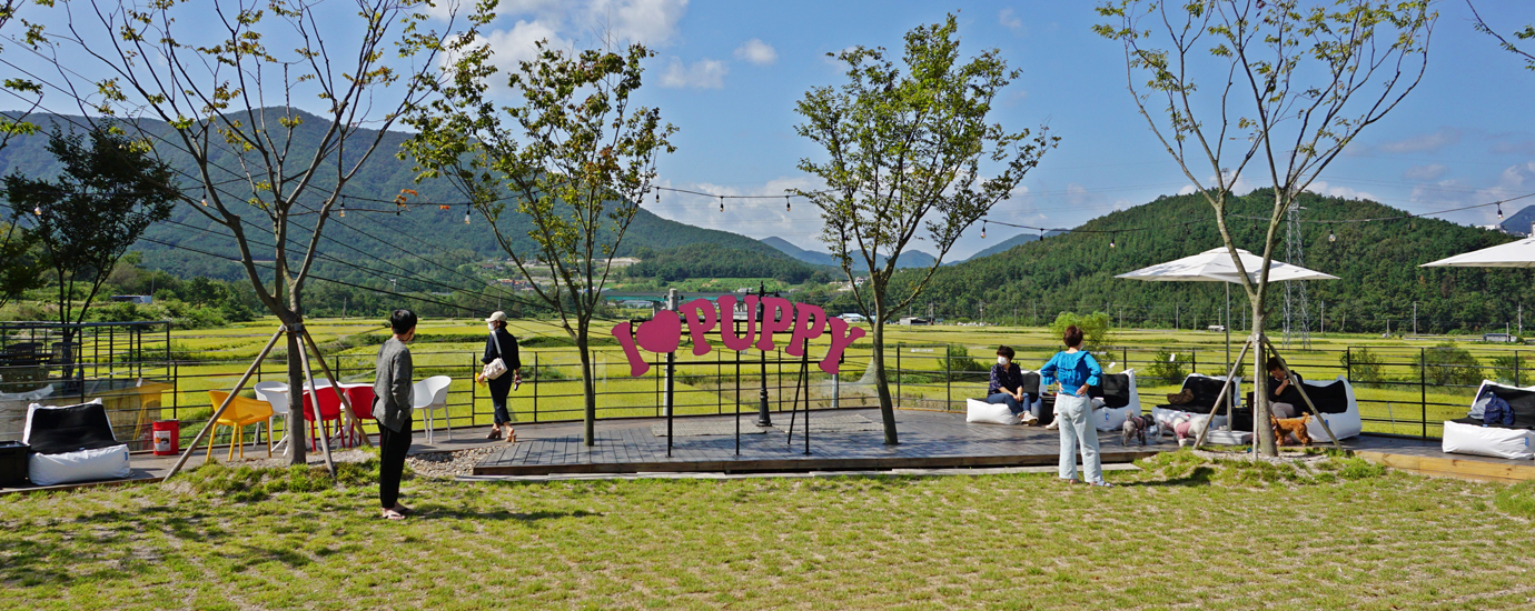 경주 반려견 동반 카페 ‘아이러브퍼피’