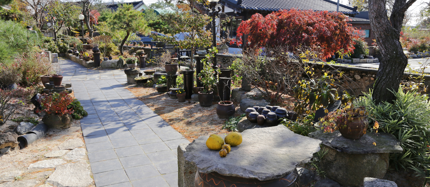 경주 정원카페(라플레르) 정원에 있는 나무들과 화분