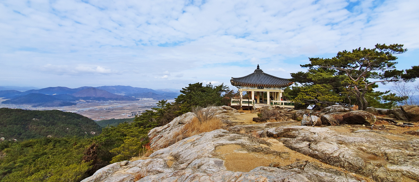 남산위의 금오정 전경
