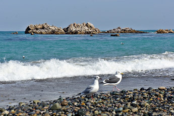 해변에서 바라본 문무대왕릉