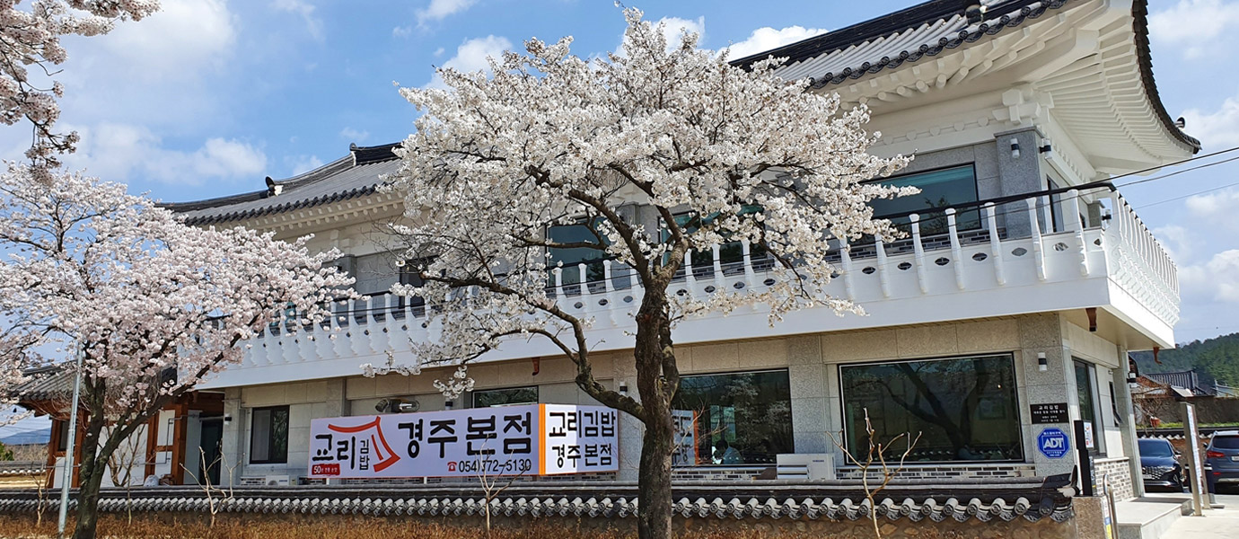 벚꽃나부가 있는 교리김밥 교동본점 건물 전경