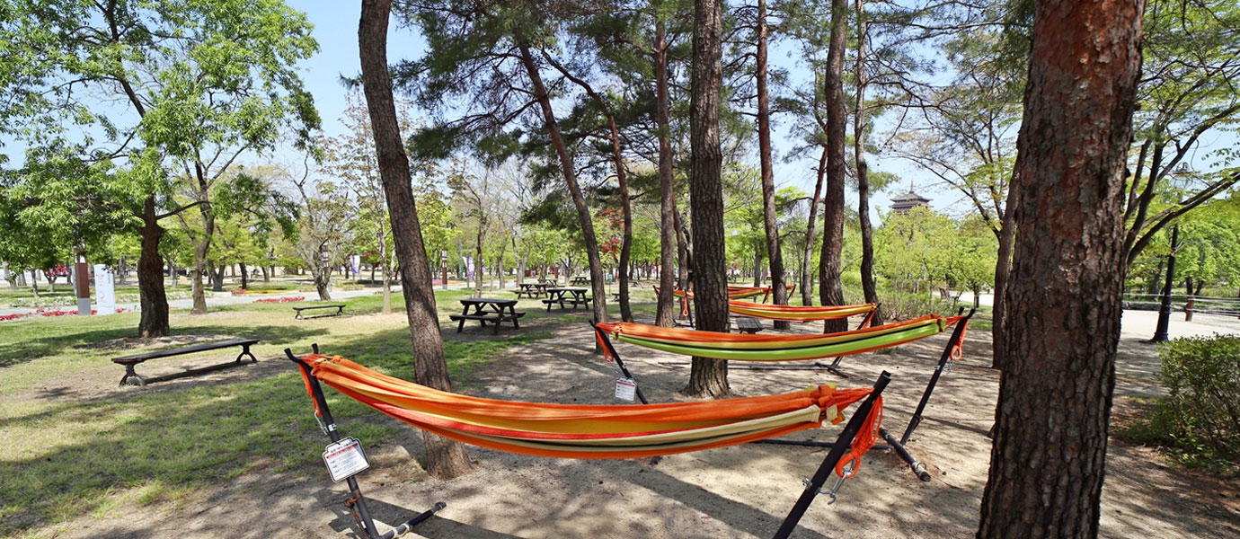 신라왕경숲 나무사이로 해먹들이 놓여있는 사진