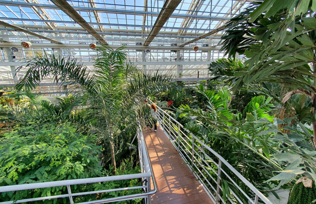 경주동궁원 식물원 본관 내부사진