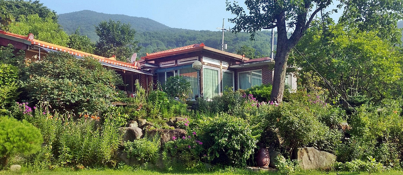 야생화가 잔뜩핀 마당