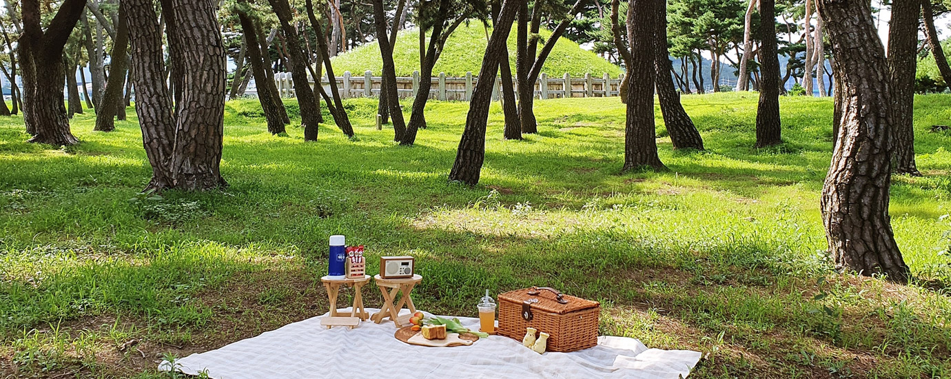 헌덕왕릉 피크닉