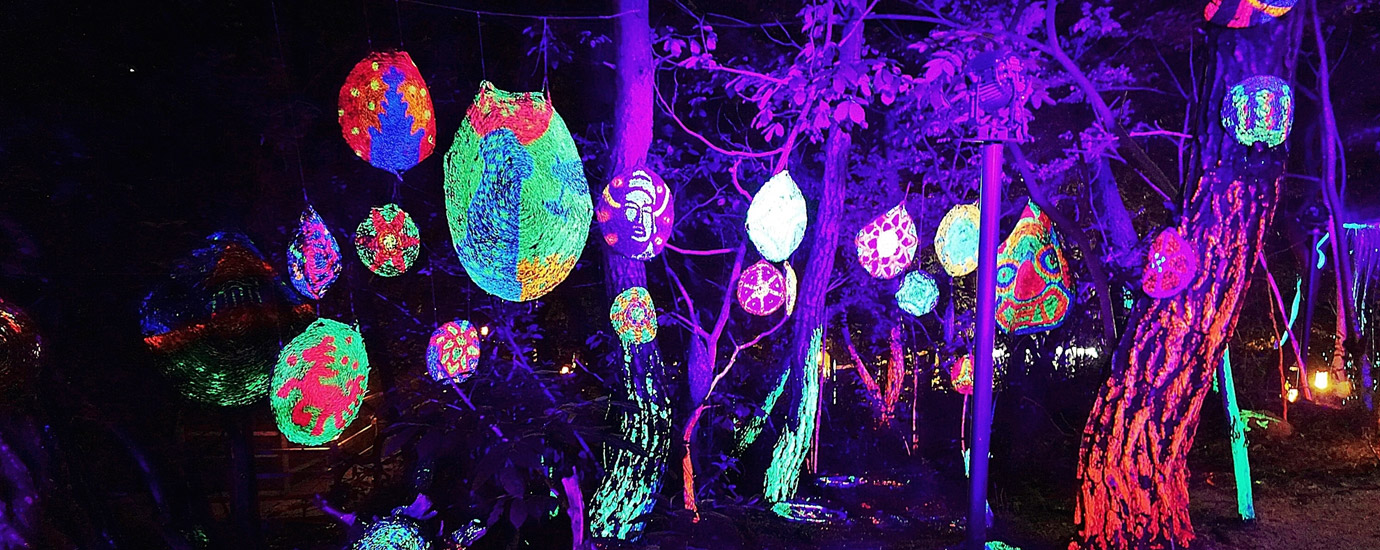 경주세계문화엑스포공원 ‘루미나나이트워크’