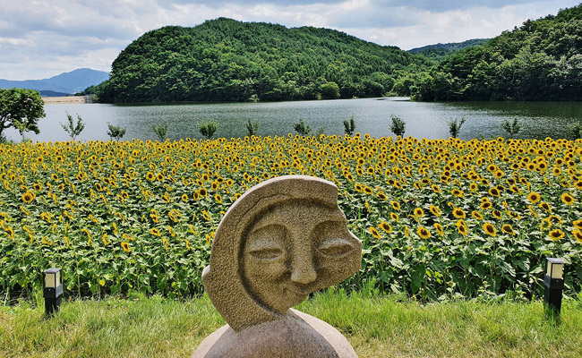 바실라 카페의 해바라기 포토존