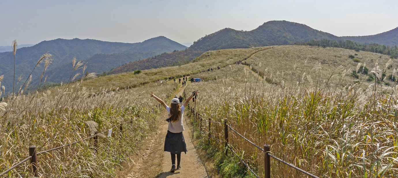 무장사지 삼층석탑과 함께 만나는 무장봉 억새 장관 