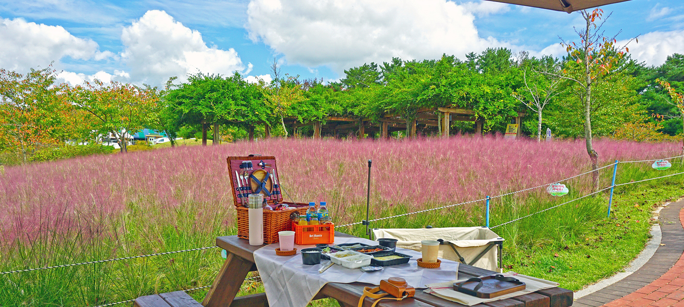보문관광단지 사랑공원 피크닉