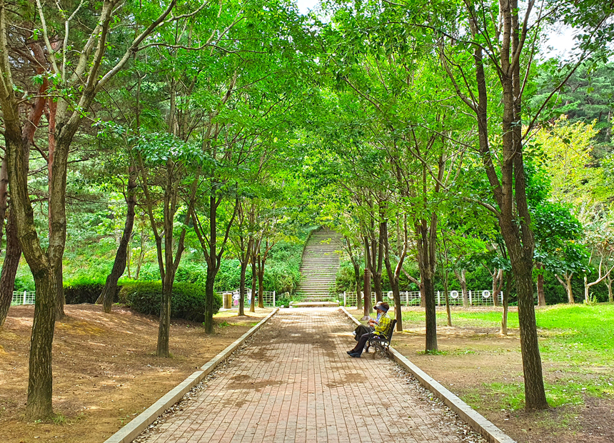 흥무공원 피크닉