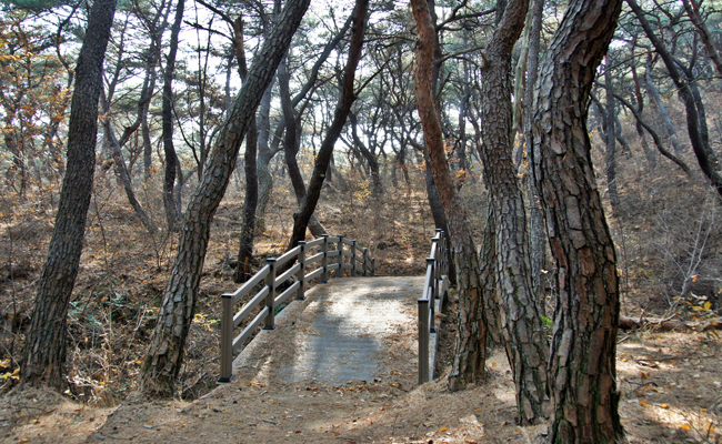 탑곡 마애불상군과 동남산 가는 숲길