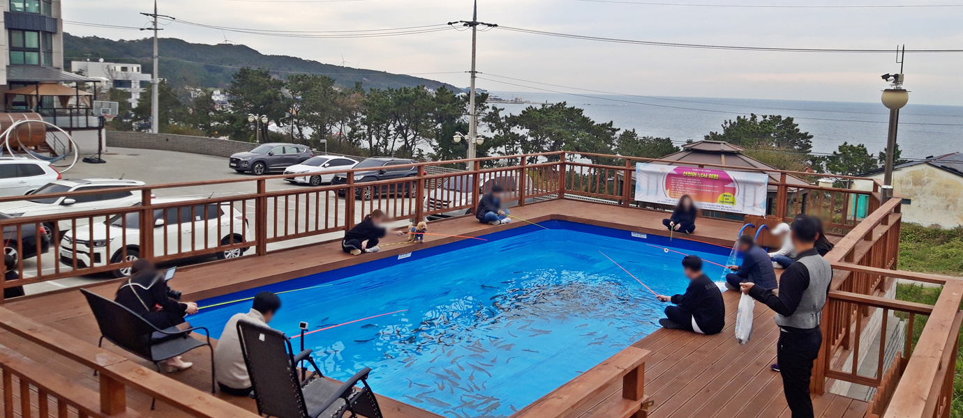 더마린 풀빌라 산천어 체험 모습 1