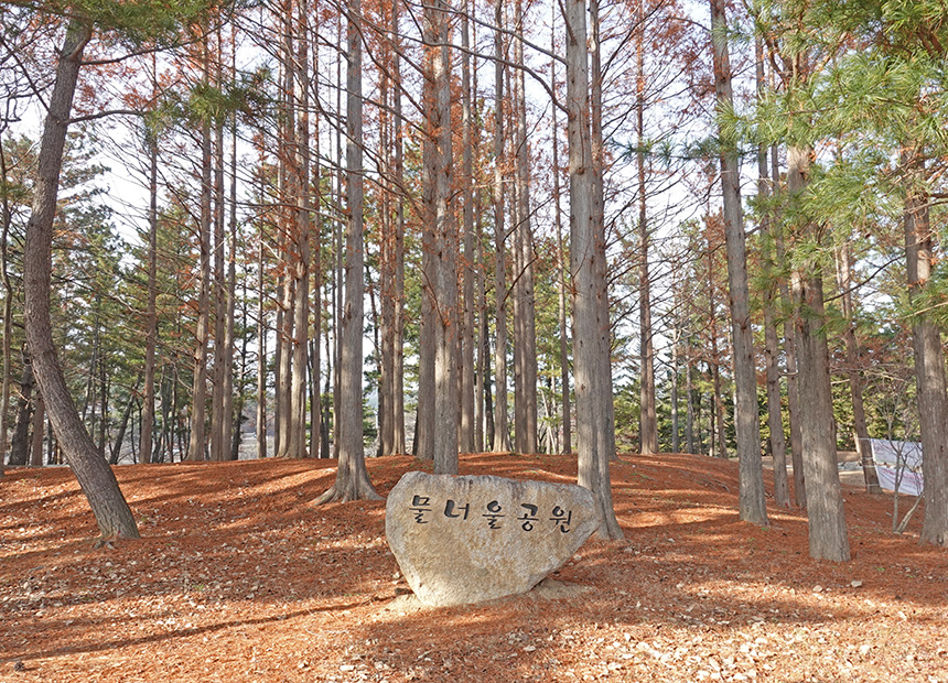보문호반길 ‘물너울공원’