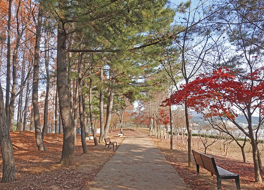 보문호반길 ‘물너울공원’