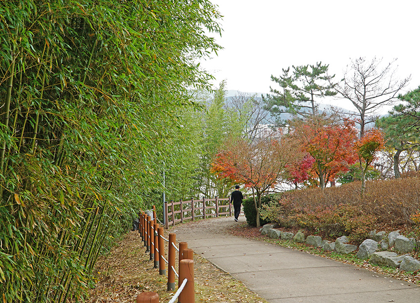 보문호반길 산책로