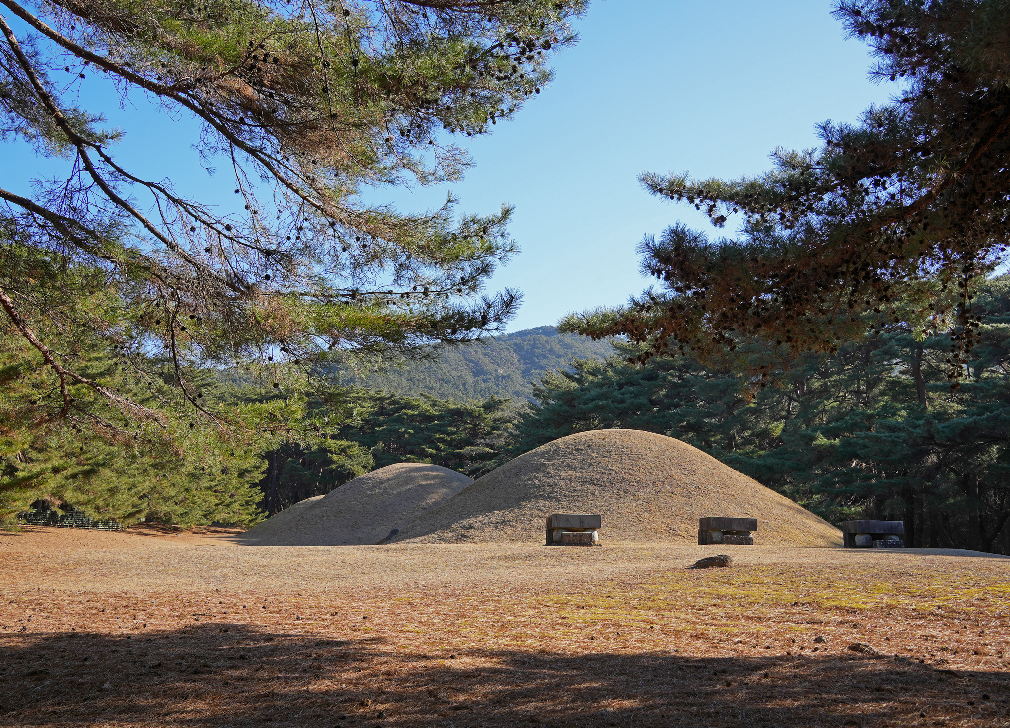 배동 삼릉