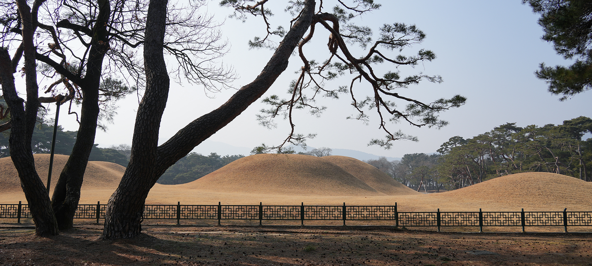 경주 오릉