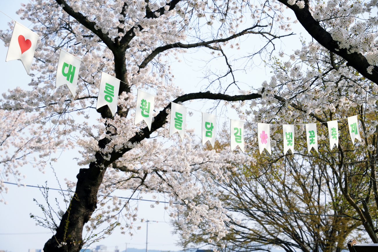 대릉원 돌담길 축제 (지난 행사 장면)