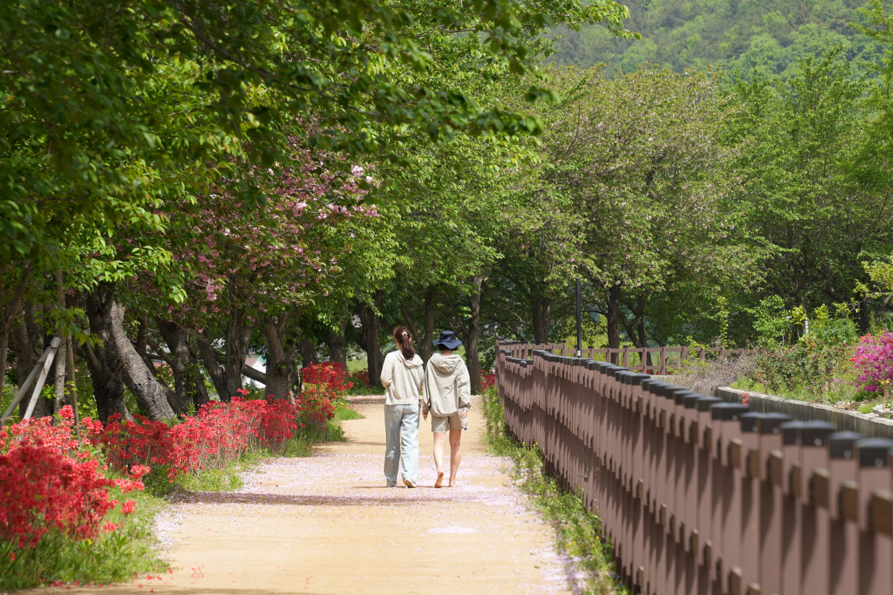 선덕여왕길 맨발 걷기 코스
