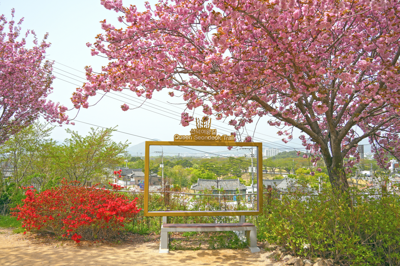 선덕여왕길 맨발 걷기 코스