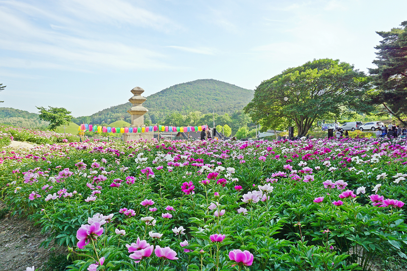 서악동 삼층석탑 작약