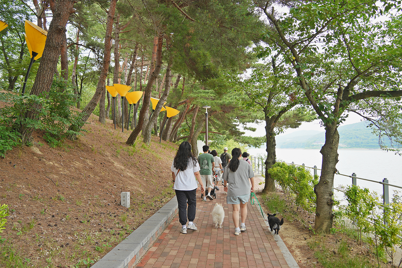 반려견 무료 프로그램