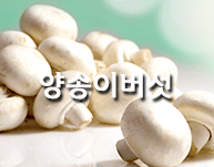 양송이