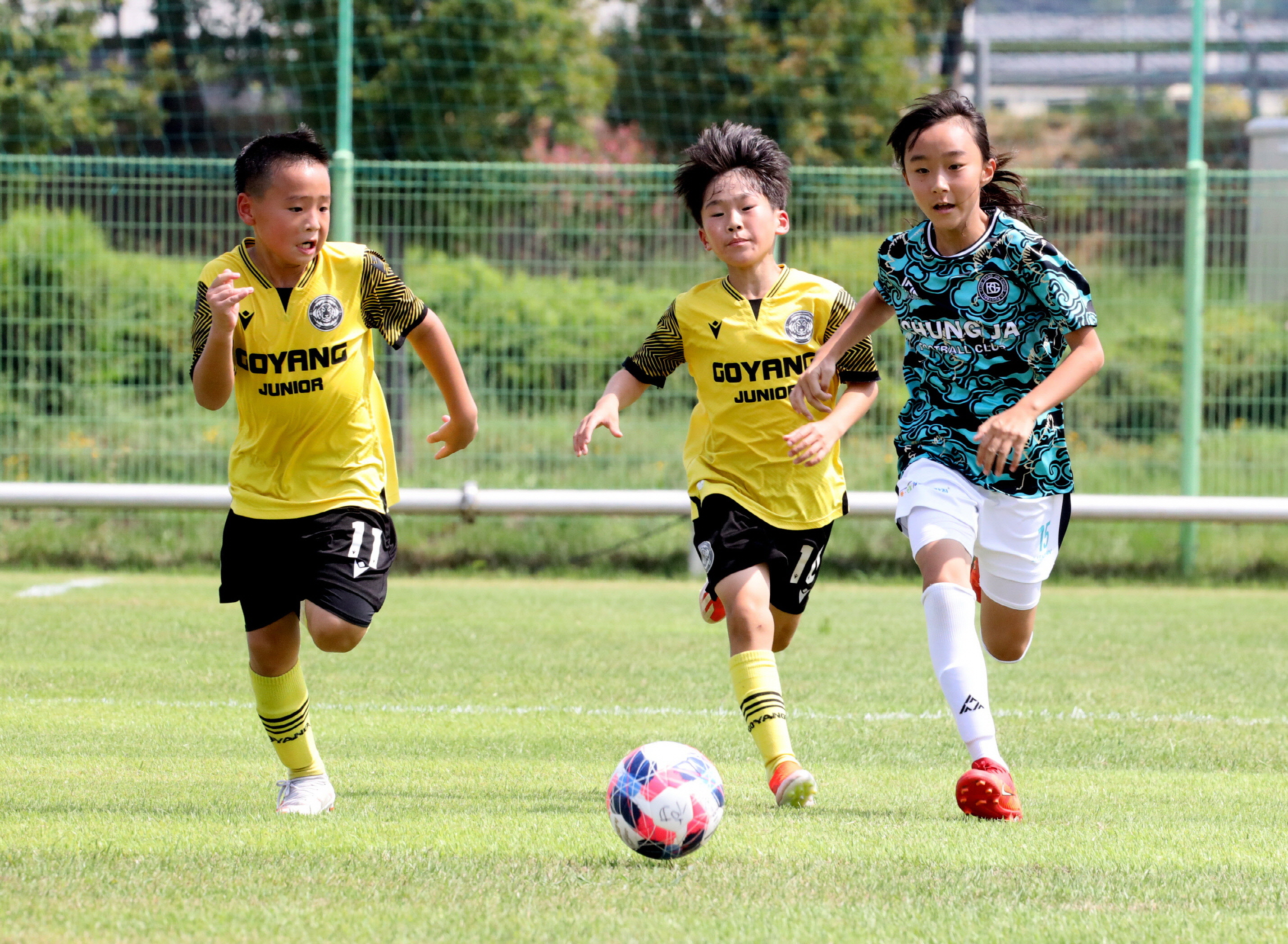 지난 5일 개막한 화랑대기 전국 유소년 축구대회 현장