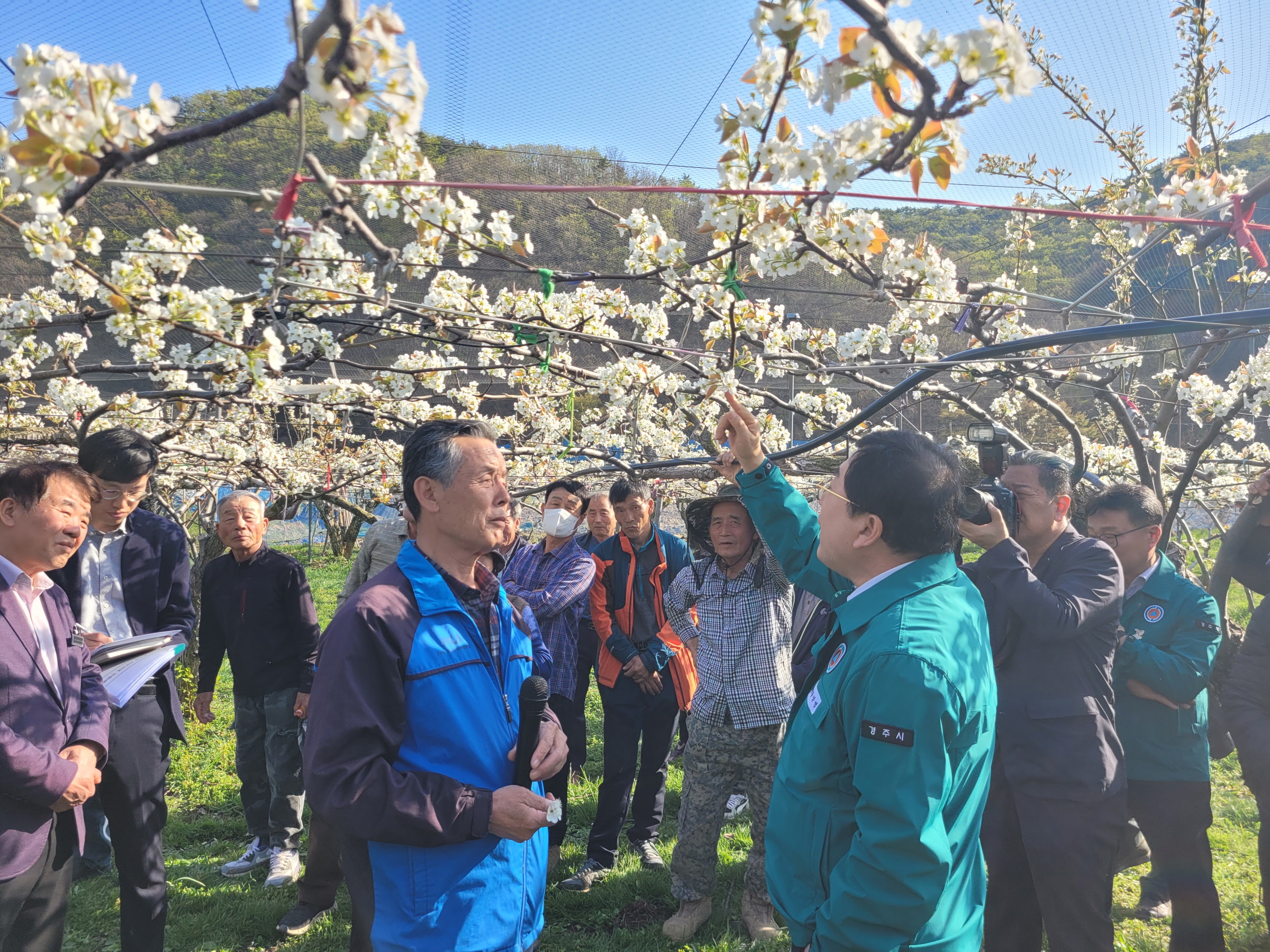 주낙영 경주시장이 지난 7일, 이상저온현상으로 피해가 발생한 현곡면 래태리를 방문해 현장을 점검하고 있다