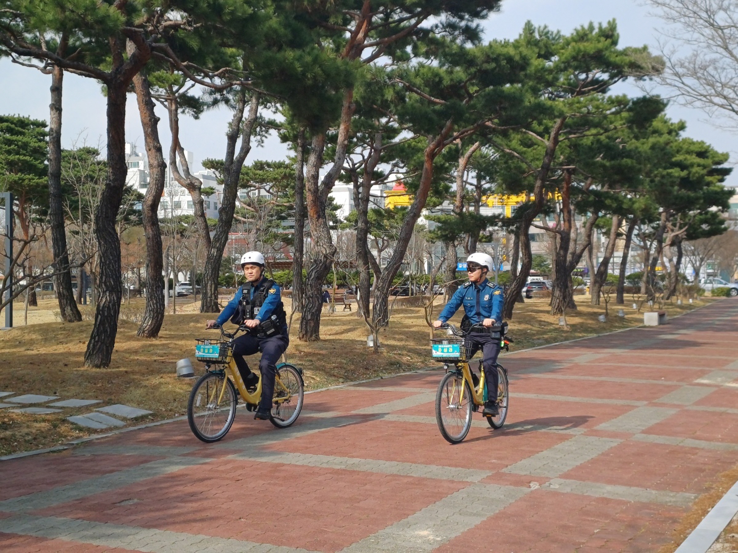 경주시는 기동순찰대의 순찰활동에 협조하기 위해 타실라의 무료 이용을 지원한다.