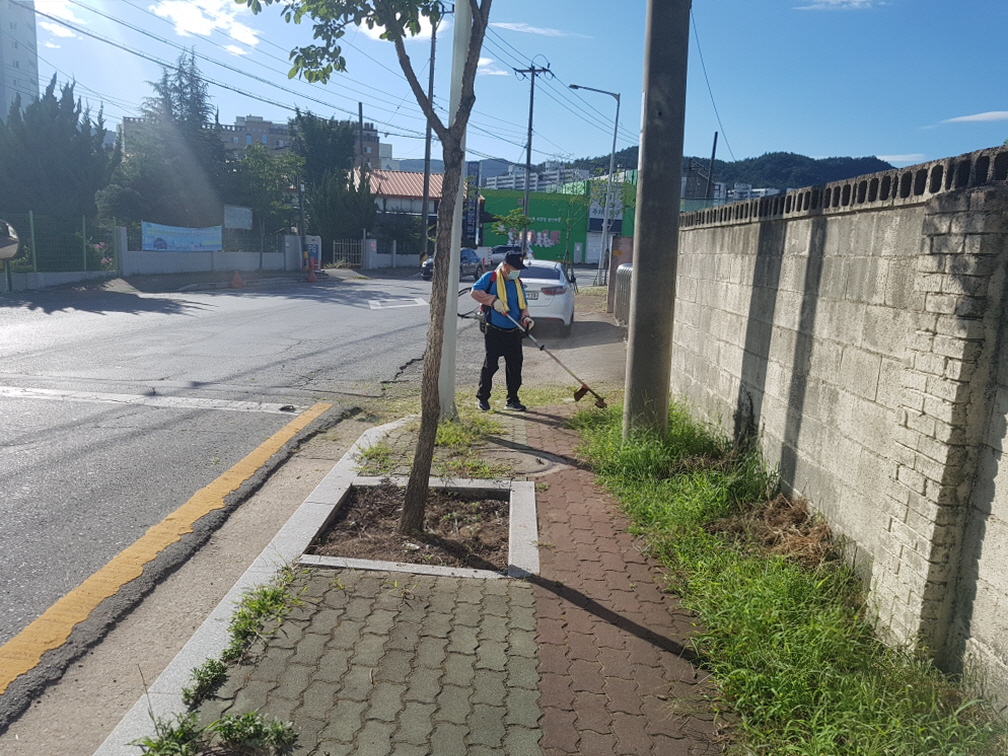 풀베기