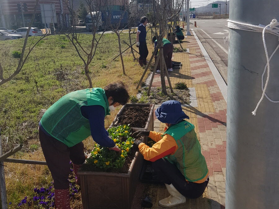 지난 14일 문무대왕면 행정복지센터에서 계절 꽃 8000본을 식재해 봄맞이 새 단장을 마쳤다.