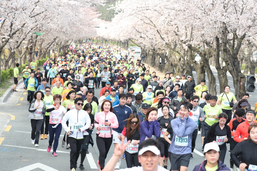 지난 2019년 개최된 경주 벚꽃마라톤대회 모습